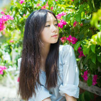 生姜切成小块放菊花里作文(自己报数趴好)