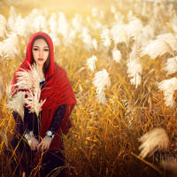 浪荡丝袜人妻胯下娇喘(长筒丝袜老师羞涩张开了双腿)