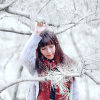 警花缘(警花与警犬第二季续写)