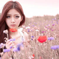 凹凸世界乙女当你磕他的cp被发现(雷狮x雷伊最猛的车)