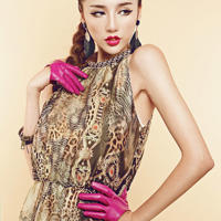 女子警犬队电视剧全集(警花与警犬2杜飞李姝寒续写)