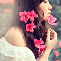 中医诊所的春天(极品老中医)