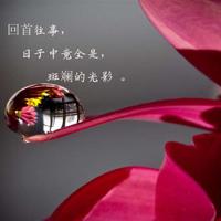 大炮和风帆读后感100字总汇