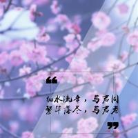 平衡的智慧第一章读后感细选