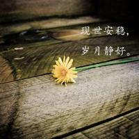 关于一战电影的读后感汇编