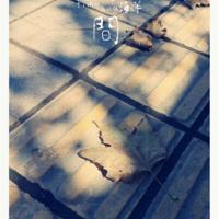 十宗罪句子读后感集合