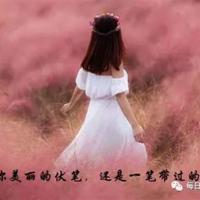 机器人瓦利观后感合计