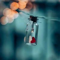 依赖是成功的绊脚石读后感细选