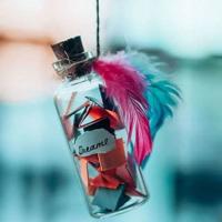 有趣的植物王国读后感聚集