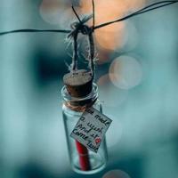 大主宰300字读后感摘录