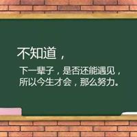 恐龙当家英语观后感英语汇总