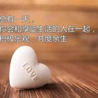 电影读后感400字作文汇聚