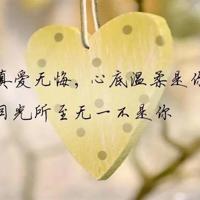 神舟十一号的观后感汇编