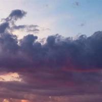 南有乔木观后感小说汇编