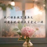 芦花鞋读后感开头汇聚