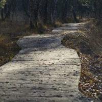 明朝那些事儿2一读后感汇总