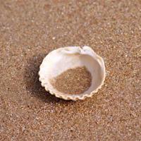 饥饿游戏英文观后感锦集