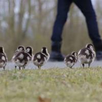 十宗罪读后感二十字集合