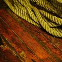 爸爸妈妈最好吃的读后感摘录