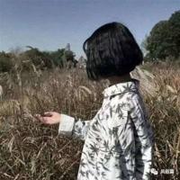 中国高铁宝兰高铁观后感选录