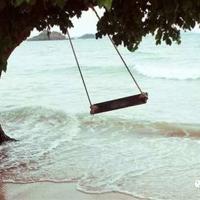 中国建设发展观后感精练