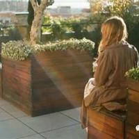 鲁迅秋夜的读后感聚集