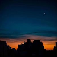 一起吃向日葵读后感锦集