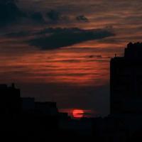 看器乐表演观后感摘录