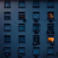 小桃树读后感500字摘录