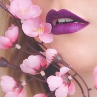 二年级语文杨桃读后感总汇