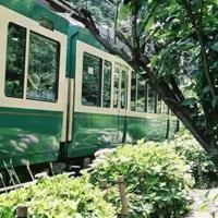 衬衣领子读后感400字合集