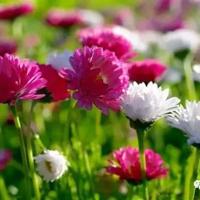 每天十几分钟的读后感集合