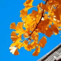 记忆这本书的观后感摘录