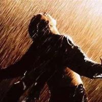 太阳鸟与梧桐树读后感作文汇编