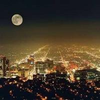 看种土豆的观后感汇集