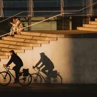 读后感窗下的树皮小屋合计