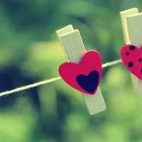 心爱的狐狸开枪读后感集合