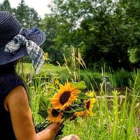 王选第七个选择读后感精选