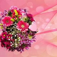 小学生沂蒙精神观后感汇合