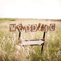 美丽的尾巴的故事读后感汇聚