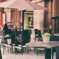 读了远行的蒲公英读后感收集