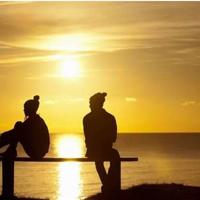 丛林传奇的读后感两百字精练