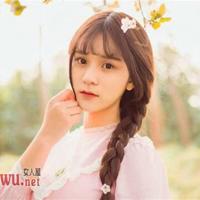 《鸟奴》读后感800字汇总