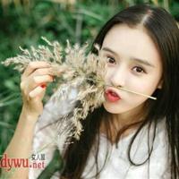 红辣椒400字读后感精练