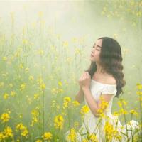 白鸽丰子恺读后感100字合计