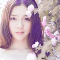 一片茶叶故事第三集观后感摘录