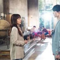 红辣椒读后感主要内容合计