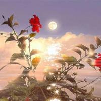 儒墨之争的读后感300字合计