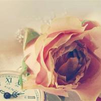 宝塔读后感200字收集