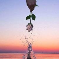 三明思政课观后感疫情防控汇合